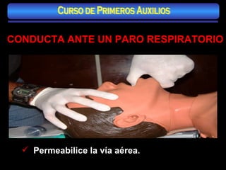 CONDUCTA ANTE UN PARO RESPIRATORIO Permeabilice la vía aérea. Curso de Primeros Auxilios 