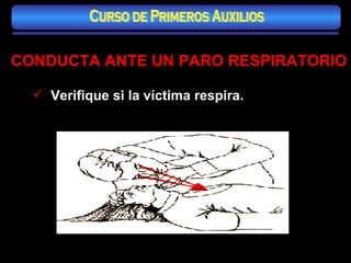 CONDUCTA ANTE UN PARO RESPIRATORIO Verifique si la víctima respira. Curso de Primeros Auxilios 