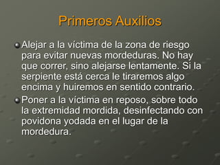Primeros Auxilios
Alejar a la víctima de la zona de riesgo
para evitar nuevas mordeduras. No hay
que correr, sino alejarse lentamente. Si la
serpiente está cerca le tiraremos algo
encima y huiremos en sentido contrario.
Poner a la víctima en reposo, sobre todo
la extremidad mordida, desinfectando con
povidona yodada en el lugar de la
mordedura.
 
