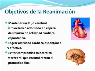 Objetivos de la Reanimación
Mantener un flujo cerebral
y miocárdico adecuado en espera
del reinicio de actividad cardiaca
espontánea.
Lograr actividad cardiaca espontánea
y efectiva.
Evitar compromiso miocárdico
y cerebral que ensombrezcan el
pronóstico final
 