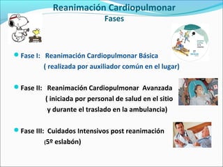 Reanimación Cardiopulmonar
Fases
Fase I: Reanimación Cardiopulmonar Básica
( realizada por auxiliador común en el lugar)
Fase II: Reanimación Cardiopulmonar Avanzada
( iniciada por personal de salud en el sitio
y durante el traslado en la ambulancia)
Fase III: Cuidados Intensivos post reanimación
(5º eslabón)
 