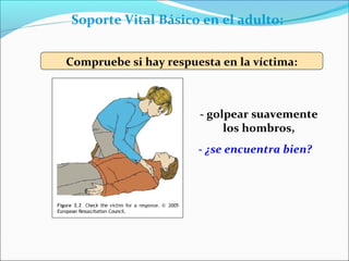 - golpear suavemente
los hombros,
- ¿se encuentra bien?
Soporte Vital Básico en el adulto:
Compruebe si hay respuesta en la víctima:
 