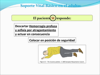 Soporte Vital Básico en el adulto:
El paciente SI responde:
Descartar Hemorragia profusa
y asfixia por atragantamiento
y actuar en consecuencia
Colocar en posición de seguridad
 