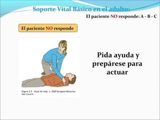 Pida ayuda y
prepárese para
actuar
Soporte Vital Básico en el adulto:
El paciente NO responde
El paciente NO responde: A - B - C
 