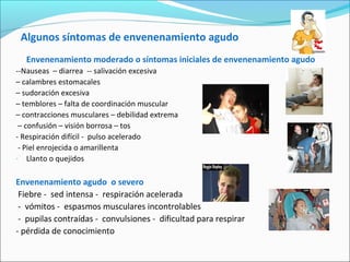 Algunos síntomas de envenenamiento agudo
Envenenamiento moderado o síntomas iniciales de envenenamiento agudo
--Nauseas – diarrea -- salivación excesiva
– calambres estomacales
– sudoración excesiva
– temblores – falta de coordinación muscular
– contracciones musculares – debilidad extrema
– confusión – visión borrosa – tos
- Respiración difícil - pulso acelerado
- Piel enrojecida o amarillenta
- Llanto o quejidos
Envenenamiento agudo o severo
Fiebre - sed intensa - respiración acelerada
- vómitos - espasmos musculares incontrolables
- pupilas contraídas - convulsiones - dificultad para respirar
- pérdida de conocimiento
 