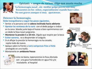 Epistaxis = sangre de narices =Algo que asusta mucho
La hemorragia nasal , sin mediar golpe previo son muy
frecuentes en los niños, especialmente cuando hace calor.
No son graves aunque si muy aparatosas.
Detener la hemorragia.
Debe tranquilizarse y seguir los pasos siguientes.
 Sentar a la persona con la cabeza inclinada hacia adelante
 Apretar las ventanas de la nariz con el dedo pulgar e índice
en la zona blanda justo bajo el hueso o bien oprimiremos con
un dedo la fosa nasal sangrante.
 Mantener la presión 5 a 10 min. Dígale que respire por la boca, que no hable .
 Evitar sonarse, va a desprender el coágulo.
 Si al aflojar la presión la hemorragia no ha cesado,
repita todo de nuevo.
 Apique sobre la frente y nariz compresas frías o hielo
protegido en una toalla.
 Mantenerlo en ambiente fresco
 Si esto no basta, taponaremos la fosa afectada
con una gasa humedecida en agua fría y/o
trasladarlo al hospital
 