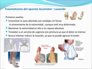 Traumatismos del aparato locomotor : Luxación
Primeros auxilios
Inmovilizar la zona afectada con vendajes sin forzar
el alineamiento de la extremidad , aunque esté muy deformada.
Mantener la extremidad en alto y en reposo absoluto
Trasladar a un servicio de urgencia con premura ya que el dolor es intenso
Nunca intentar reducir la luxación, ya que se puede agravar la lesión
 