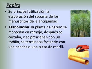 Papiro
• Su principal utilización la
  elaboración del soporte de los
  manuscritos de la antigüedad.
• Elaboración: la planta de papiro se
  mantenía en remojo, después se
  cortaba, y se prensaban con un
  rodillo, se terminaba frotando con
  una concha o una pieza de marfil.
 