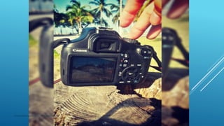 masquefotografias0511@blogspot.com
 