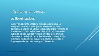 masquefotografias0511@blogspot.com
Para tener en cuenta:
La iluminación:
Es muy importante utilizar la luz adecuada para la
fotografía macro. Si trabajas en interiores, un buen
comienzo consiste en utilizar la luz natural proveniente de
una ventana. Evita la luz solar directa (la luz de un día
nublado es adecuada) y utiliza un trozo de cartulina
blanca para reflejar la luz sobre el motivo con el fin de
minimizar las sombras. Mover la cartulina o ajustar el
ángulo puede suponer una gran diferencia.
 