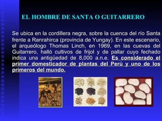 EL HOMBRE DE SANTA O GUITARRERO

Se ubica en la cordillera negra, sobre la cuenca del río Santa
frente a Ranrahirca (provincia de Yungay). En este escenario,
el arqueólogo Thomas Linch, en 1969, en las cuevas del
Guitarrero, halló cultivos de frijol y de pallar cuyo fechado
indica una antigüedad de 8,000 a.n.e. Es considerado el
primer domesticador de plantas del Perú y uno de los
primeros del mundo.
 