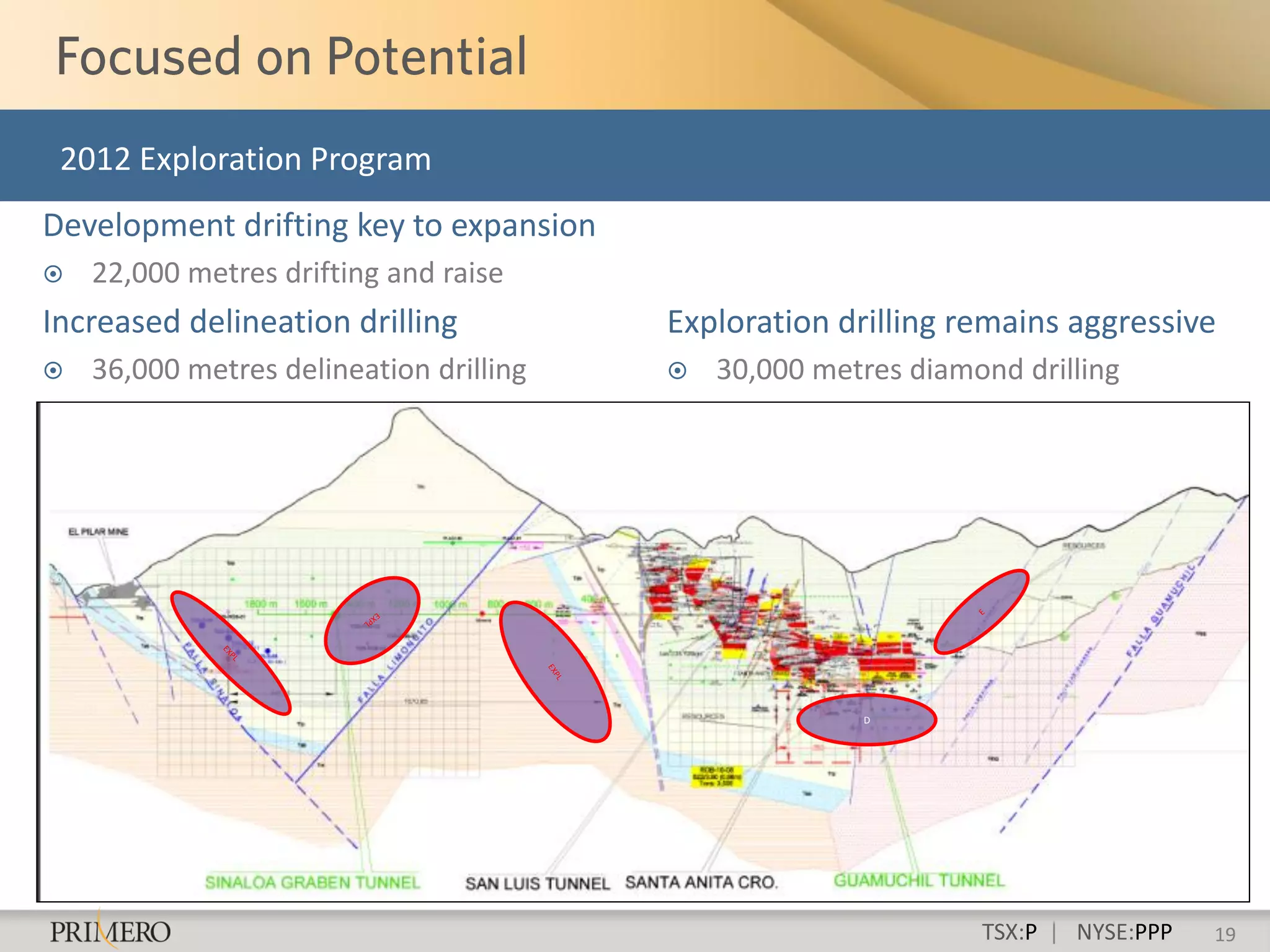 2012 Exploration Program
Development drifting key to expansion
   22,000 metres drifting and raise
Increased delineation drilling           Exploration drilling remains aggressive
   36,000 metres delineation drilling      30,000 metres diamond drilling




                                                       D




                                                                TSX:P | NYSE:PPP   19
 