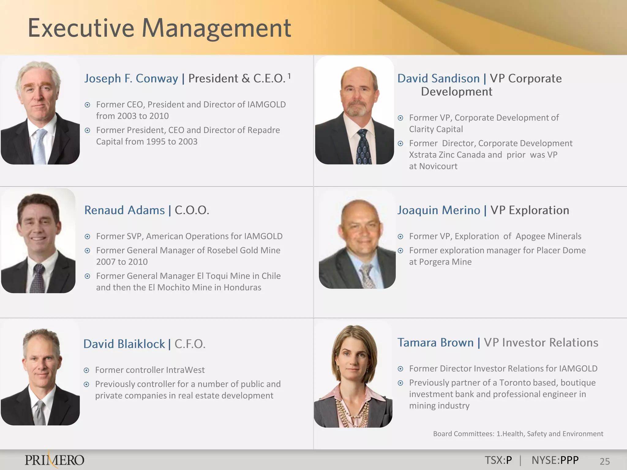    Former CEO, President and Director of IAMGOLD
    from 2003 to 2010                                     Former VP, Corporate Development of
   Former President, CEO and Director of Repadre          Clarity Capital
    Capital from 1995 to 2003                             Former Director, Corporate Development
                                                           Xstrata Zinc Canada and prior was VP
                                                           at Novicourt




   Former SVP, American Operations for IAMGOLD           Former VP, Exploration of Apogee Minerals
   Former General Manager of Rosebel Gold Mine           Former exploration manager for Placer Dome
    2007 to 2010                                           at Porgera Mine
   Former General Manager El Toqui Mine in Chile
    and then the El Mochito Mine in Honduras




   Former controller IntraWest                           Former Director Investor Relations for IAMGOLD
   Previously controller for a number of public and      Previously partner of a Toronto based, boutique
    private companies in real estate development           investment bank and professional engineer in
                                                           mining industry

                                                                Board Committees: 1.Health, Safety and Environment


                                                                               TSX:P | NYSE:PPP                 25
 