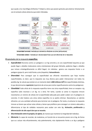 que ayuda a los macrófagos (linfocitos T-helper) y otros que poseen gránulos para destruir directamente
       con el contacto célula-célula las que están infectadas.




Propiedades de la respuesta específica:
      Especificidad (funciona contra un patógeno o un Ag concreto y es una especificidad exquisita ya que
       puede llegar a detalles moleculares como orientaciones del grupo hidroxilo, podemos llegar a detalles
       que incluso cristalográficamente es difícil llegar). Un individuo      genera una respuesta frente a un
       patógeno (gripe A) pero inútil frente a otro (hepatitis). Extraordinaria
      Diversidad: Para conseguir que la especificidad sea eficiente necesitamos que haya muchas
       especificidades, es decir, que la respuesta sea muy diversa para poder interaccionar con todos los
       posibles Ag. Se calcula que existen en un momento dado 1.000 millones (109) de especificidades distintas,
       lo que denominamos repertorio (repertorio de armas para luchar específicamente contra los patógenos).
      Clonalidad: Cada célula de la respuesta específica tiene una única especificidad, tiene un receptor o Ig
       específico (sólo reconoce a un Ag, no a otro). Por tanto, cuando se active la respuesta inmune
       necesitamos un número de células de la especificidad adecuada para poder acabar con el patógeno en
       concreto. Si sólo hubiera una única célula específica no se podría eliminar. Necesitamos un ejército
       eficiente y en una cantidad suficiente para terminar con el patógeno. Por tanto, al activarse la respuesta
       inmune se tienen que activar estas células y tienen que proliferar para conseguir un número adecuado y
       diferenciarse al tipo de soldados necesarios para acabar con este Ag. Activación, proliferación y
       diferenciación de sólo aquel clon que se necesita.
      Discriminación entre lo propio y lo ajeno, de manera que mantiene la integridad del individuo.
      Memoria: Es capaz de recordar, de modularse, en función de un encuentro previo con el Ag, de forma
       que va a actuar más eficientemente, más potentemente, más rápidamente frente a un Ag o patógeno


                                                                                                              19
 