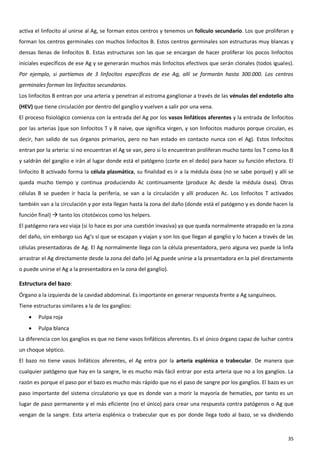activa el linfocito al unirse al Ag, se forman estos centros y tenemos un folículo secundario. Los que proliferan y
forman los centros germinales con muchos linfocitos B. Estos centros germinales son estructuras muy blancas y
densas llenas de linfocitos B. Estas estructuras son las que se encargan de hacer proliferar los pocos linfocitos
iniciales específicos de ese Ag y se generarán muchos más linfocitos efectivos que serán clonales (todos iguales).
Por ejemplo, si partíamos de 3 linfocitos específicos de ese Ag, allí se formarán hasta 300.000. Los centros
germinales forman los linfocitos secundarios.
Los linfocitos B entran por una arteria y penetran al estroma ganglionar a través de las vénulas del endotelio alto
(HEV) que tiene circulación por dentro del ganglio y vuelven a salir por una vena.
El proceso fisiológico comienza con la entrada del Ag por los vasos linfáticos aferentes y la entrada de linfocitos
por las arterias (que son linfocitos T y B naive, que significa virgen, y son linfocitos maduros porque circulan, es
decir, han salido de sus órganos primarios, pero no han estado en contacto nunca con el Ag). Estos linfocitos
entran por la arteria: si no encuentran el Ag se van, pero si lo encuentran proliferan mucho tanto los T como los B
y saldrán del ganglio e irán al lugar donde está el patógeno (corte en el dedo) para hacer su función efectora. El
linfocito B activado forma la célula plasmática, su finalidad es ir a la médula ósea (no se sabe porqué) y allí se
queda mucho tiempo y continua produciendo Ac continuamente (produce Ac desde la médula ósea). Otras
células B se pueden ir hacia la periferia, se van a la circulación y allí producen Ac. Los linfocitos T activados
también van a la circulación y por esta llegan hasta la zona del daño (donde está el patógeno y es donde hacen la
función final)  tanto los citotóxicos como los helpers.
El patógeno rara vez viaja (si lo hace es por una cuestión invasiva) ya que queda normalmente atrapado en la zona
del daño, sin embargo sus Ag’s sí que se escapan y viajan y son los que llegan al ganglio y lo hacen a través de las
células presentadoras de Ag. El Ag normalmente llega con la célula presentadora, pero alguna vez puede la linfa
arrastrar el Ag directamente desde la zona del daño (el Ag puede unirse a la presentadora en la piel directamente
o puede unirse el Ag a la presentadora en la zona del ganglio).

Estructura del bazo:
Órgano a la izquierda de la cavidad abdominal. Es importante en generar respuesta frente a Ag sanguíneos.
Tiene estructuras similares a la de los ganglios:
       Pulpa roja
       Pulpa blanca
La diferencia con los ganglios es que no tiene vasos linfáticos aferentes. Es el único órgano capaz de luchar contra
un choque séptico.
El bazo no tiene vasos linfáticos aferentes, el Ag entra por la arteria esplénica o trabecular. De manera que
cualquier patógeno que hay en la sangre, le es mucho más fácil entrar por esta arteria que no a los ganglios. La
razón es porque el paso por el bazo es mucho más rápido que no el paso de sangre por los ganglios. El bazo es un
paso importante del sistema circulatorio ya que es donde van a morir la mayoría de hematíes, por tanto es un
lugar de paso permanente y el más eficiente (no el único) para crear una respuesta contra patógenos o Ag que
vengan de la sangre. Esta arteria esplénica o trabecular que es por donde llega todo al bazo, se va dividiendo



                                                                                                                 35
 