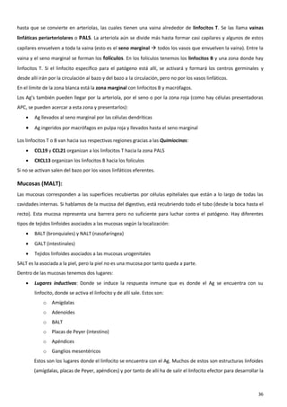 hasta que se convierte en arteriolas, las cuales tienen una vaina alrededor de linfocitos T. Se las llama vainas
linfáticas periarteriolares o PALS. La arteriola aún se divide más hasta formar casi capilares y algunos de estos
capilares envuelven a toda la vaina (esto es el seno marginal  todos los vasos que envuelven la vaina). Entre la
vaina y el seno marginal se forman los folículos. En los folículos tenemos los linfocitos B y una zona donde hay
linfocitos T. Si el linfocito específico para el patógeno está allí, se activará y formará los centros germinales y
desde allí irán por la circulación al bazo y del bazo a la circulación, pero no por los vasos linfáticos.
En el límite de la zona blanca está la zona marginal con linfocitos B y macrófagos.
Los Ag’s también pueden llegar por la arteriola, por el seno o por la zona roja (como hay células presentadoras
APC, se pueden acercar a esta zona y presentarlos):
       Ag llevados al seno marginal por las células dendríticas
       Ag ingeridos por macrófagos en pulpa roja y llevados hasta el seno marginal

Los linfocitos T o B van hacia sus respectivas regiones gracias a las Quimiocinas:
       CCL19 y CCL21 organizan a los linfocitos T hacia la zona PALS
       CXCL13 organizan los linfocitos B hacia los folículos
Si no se activan salen del bazo por los vasos linfáticos eferentes.

Mucosas (MALT):
Las mucosas corresponden a las superficies recubiertas por células epiteliales que están a lo largo de todas las
cavidades internas. Si hablamos de la mucosa del digestivo, está recubriendo todo el tubo (desde la boca hasta el
recto). Esta mucosa representa una barrera pero no suficiente para luchar contra el patógeno. Hay diferentes
tipos de tejidos linfoides asociados a las mucosas según la localización:
       BALT (bronquiales) y NALT (nasofaríngea)
       GALT (intestinales)
       Tejidos linfoides asociados a las mucosas urogenitales
SALT es la asociada a la piel, pero la piel no es una mucosa por tanto queda a parte.
Dentro de las mucosas tenemos dos lugares:
       Lugares inductivos: Donde se induce la respuesta inmune que es donde el Ag se encuentra con su
        linfocito, donde se activa el linfocito y de allí sale. Estos son:
            o    Amígdalas
            o    Adenoides
            o    BALT
            o    Placas de Peyer (intestino)
            o    Apéndices
            o    Ganglios mesentéricos
        Estos son los lugares donde el linfocito se encuentra con el Ag. Muchos de estos son estructuras linfoides
        (amígdalas, placas de Peyer, apéndices) y por tanto de allí ha de salir el linfocito efector para desarrollar la



                                                                                                                     36
 