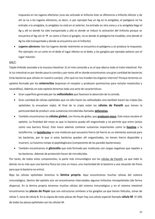 respuesta en los lugares efectores (una vez activado el linfocito éste se diferencia a linfocito efector y de
        ahí se va a los lugares efectores, es decir, si por ejemplo hay un Ag en la amígdala, el patógeno no ha
        entrado a la amígdala, la amígdala no está en el exterior, ha entrado en otra zona y a la amígdala llega el
        Ag y allí es donde ha sido transportado y allá es donde se induce la activación del linfocito porque se
        encuentra el Ag con él  es como si fuera el ganglio, no es donde el patógeno ha invadido, sino donde el
        Ag ha sido transportado y donde se encuentra con el linfocito)
       Lugares efectores: Son los lugares donde realmente se encuentra el patógeno y se produce la respuesta.
        Por ejemplo: en un corte en el dedo el lugar efector es el dedo, y los ganglios por ejemplo axilares son el
        lugar inductor.
GALT:
Tejido linfoide asociado a la mucosa intestinal. Es el más conocido y es el que abarca todo el trato intestinal. Por
la luz intestinal es por donde pasa la comida y por tanto allí es donde encontramos una gran cantidad de bacterias
(más bacterias que células en nuestro cuerpo). ¿Por qué no nos invaden los órganos internos? Porque tenemos un
epitelio formado por los enterocitos (expresan el receptor y producen quimiocinas para reclutar mastocitos y
neutrófilos). Además en este epitelio tenemos toda una serie de características:
       Gran superficie generada por las vellosidades que favorece la absorción de la comida.
       Gran cantidad de células epiteliales que no sólo hacen las vellosidades sino también hacen las criptas (las
        epiteliales lo envuelven todo). Al final de la cripta están las células de Paneth que tienen la
        particularidad de producir unas sustancias microbicidas llamadas defensinas.
       También encontramos las células globet, con forma de globo, que producen moco. Este moco recubre el
        epitelio. La finalidad del moco es que la bacteria queda allí enganchada y no permite que entre (actúa
        como una barrera física). Este moco además contiene sustancias importantes como la lisozima y la
        lactoferrina. La lactoferrina es una molécula que secuestra hierro (el hierro es un elemento esencial para
        las bacterias, por lo que si estas bacterias quedan allí enganchadas, no tienen hierro disponible y
        mueren). La lisozima rompe el peptidoglicano (componente de las paredes bacterianas).
       También encontramos el glicocálix que está formado por moléculas con cargas negativas que repelen a
        las bacterias. Además de protección hacen de microbicidas.
Por tanto, de todos estos componentes, la parte más inmunológica son las células de Paneth, ya que todo lo
demás no es más que una barrera física (se crea un moco, una inactividad de la bacteria y una situación de freno
para que la bacteria no entre).
Bajo las células epiteliales tenemos la lámina propria. Aquí encontramos muchas células del sistema
inmunológico. Dentro del epitelio aún así encontramos intercalados algunos linfocitos intraepiteliales (de forma
dispersa). En la lámina propria tenemos muchas células del sistema inmunológico y en el sistema intestinal
encontramos las placas de Peyer que son estructuras similares a los ganglios ya que tienen folículos, zonas de
célula T, zona de célula B. En la cúpula de estas placas de Peyer hay una célula especial llamada célula M. El 10%
de todas las placas epiteliales son las células M.


                                                                                                                  37
 