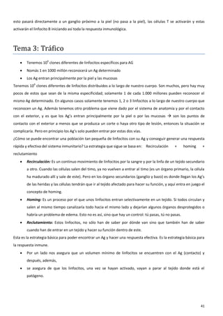 esto pasará directamente a un ganglio próximo a la piel (no pasa a la piel), las células T se activarán y estas
activarán el linfocito B iniciando así toda la respuesta inmunológica.



Tema 3: Tráfico
       Tenemos 109 clones diferentes de linfocitos específicos para AG
       Nomás 1 en 1000 millón reconocerá un Ag determinado
       Los Ag entran principalmente por la piel y las mucosas
Tenemos 109 clones diferentes de linfocitos distribuidos a lo largo de nuestro cuerpo. Son muchos, pero hay muy
pocos de estos que sean de la misma especificidad; solamente 1 de cada 1.000 millones pueden reconocer el
mismo Ag determinado. En algunos casos solamente tenemos 1, 2 o 3 linfocitos a lo largo de nuestro cuerpo que
reconocen un Ag. Además tenemos otro problema que viene dado por el sistema de anatomía y por el contacto
con el exterior, y es que los Ag’s entran principalmente por la piel o por las mucosas  son los puntos de
contacto con el exterior a menos que se produzca un corte o haya otro tipo de lesión, entonces la situación se
complicaría. Pero en principio los Ag’s solo pueden entrar por estas dos vías.
¿Cómo se puede encontrar una población tan pequeña de linfocitos con su Ag y conseguir generar una respuesta
rápida y efectiva del sistema inmunitario? La estrategia que sigue se basa en: Recirculación       +    homing      +
reclutamiento
       Recirculación: Es un continuo movimiento de linfocitos por la sangre y por la linfa de un tejido secundario
        a otro. Cuando las células salen del timo, ya no vuelven a entrar al timo (es un órgano primario, la célula
        ha madurado allí y sale de este). Pero en los órgano secundarios (ganglio y bazo) es donde llegan los Ag’s
        de las heridas y las células tendrán que ir al tejido afectado para hacer su función, y aquí entra en juego el
        concepto de homing.
       Homing: Es un proceso por el que unos linfocitos entran selectivamente en un tejido. Si todos circulan y
        salen al mismo tiempo canalizaría todo hacia el mismo lado y dejarían algunos órganos desprotegidos o
        habría un problema de edema. Esto no es así, sino que hay un control: tú pasas, tú no pasas.
       Reclutamiento: Estos linfocitos, no sólo han de saber por dónde van sino que también han de saber
        cuando han de entrar en un tejido y hacer su función dentro de este.
Esta es la estrategia básica para poder encontrar un Ag y hacer una respuesta efectiva. Es la estrategia básica para
la respuesta inmune.
       Por un lado nos asegura que un volumen mínimo de linfocitos se encuentren con el Ag (contacto) y
        después, además,
       se asegura de que los linfocitos, una vez se hayan activado, vayan a parar al tejido donde está el
        patógeno.




                                                                                                                   41
 