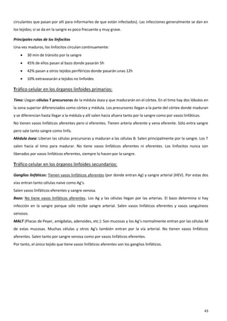 circulantes que pasan por allí para informarles de que están infectados). Las infecciones generalmente se dan en
los tejidos; si se da en la sangre es poco frecuente y muy grave.

Principales rutas de los linfocitos
Una vez maduros, los linfocitos circulan continuamente:
       30 min de tránsito por la sangre
       45% de ellos pasan al bazo donde pasarán 5h
       42% pasan a otros tejidos periféricos donde pasarán unas 12h
       10% extravasarán a tejidos no linfoides

Tráfico celular en los órganos linfoides primarios:

Timo: Llegan células T precursoras de la médula ósea y que madurarán en el córtex. En el timo hay dos lóbulos en
la zona superior diferenciados como córtex y médula. Los precursores llegan a la parte del córtex donde maduran
y se diferencian hasta llegar a la médula y allí salen hacia afuera tanto por la sangre como por vasos linfáticos.
No tienen vasos linfáticos aferentes pero sí eferentes. Tienen arteria aferente y vena eferente. Sólo entra sangre
pero sale tanto sangre como linfa.
Médula ósea: Liberan las células precursoras y maduran a las células B. Salen principalmente por la sangre. Los T
salen hacia al timo para madurar. No tiene vasos linfáticos aferentes ni eferentes. Los linfocitos nunca son
liberados por vasos linfáticos eferentes, siempre lo hacen por la sangre.

Tráfico celular en los órganos linfoides secundarios:

Ganglios linfáticos: Tienen vasos linfáticos aferentes (por donde entran Ag) y sangre arterial (HEV). Por estas dos
vías entran tanto células naive como Ag’s.
Salen vasos linfáticos eferentes y sangre venosa.
Bazo: No tiene vasos linfáticos aferentes. Los Ag y las células llegan por las arterias. El bazo determina si hay
infección en la sangre porque sólo recibe sangre arterial. Salen vasos linfáticos eferentes y vasos sanguíneos
venosos.
MALT (Placas de Peyer, amígdalas, adenoides, etc.): Son mucosas y los Ag’s normalmente entran por las células M
de estas mucosas. Muchas células y otros Ag’s también entran por la vía arterial. No tienen vasos linfáticos
aferentes. Salen tanto por sangre venosa como por vasos linfáticos eferentes.
Por tanto, el único tejido que tiene vasos linfáticos aferentes son los ganglios linfáticos.




                                                                                                                     43
 