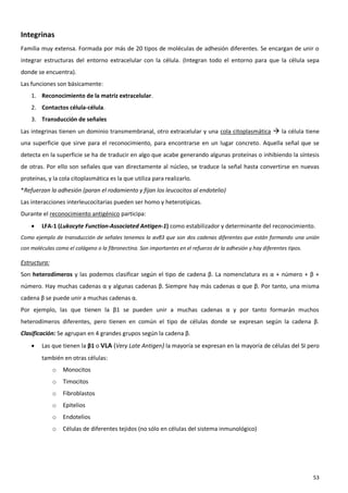Integrinas
Familia muy extensa. Formada por más de 20 tipos de moléculas de adhesión diferentes. Se encargan de unir o
integrar estructuras del entorno extracelular con la célula. (Integran todo el entorno para que la célula sepa
donde se encuentra).
Las funciones son básicamente:
    1. Reconocimiento de la matriz extracelular.
    2. Contactos célula-célula.
    3. Transducción de señales
Las integrinas tienen un dominio transmembranal, otro extracelular y una cola citoplasmática  la célula tiene
una superficie que sirve para el reconocimiento, para encontrarse en un lugar concreto. Aquella señal que se
detecta en la superficie se ha de traducir en algo que acabe generando algunas proteínas o inhibiendo la síntesis
de otras. Por ello son señales que van directamente al núcleo, se traduce la señal hasta convertirse en nuevas
proteínas, y la cola citoplasmática es la que utiliza para realizarlo.
*Refuerzan la adhesión (paran el rodamiento y fijan los leucocitos al endotelio)
Las interacciones interleucocitarias pueden ser homo y heterotípicas.
Durante el reconocimiento antigénico participa:
       LFA-1 (Lukocyte Function-Associated Antigen-1) como estabilizador y determinante del reconocimiento.
Como ejemplo de transducción de señales tenemos la αvβ3 que son dos cadenas diferentes que están formando una unión
con moléculas como el colágeno o la fibronectina. Son importantes en el refuerzo de la adhesión y hay diferentes tipos.

Estructura:
Son heterodímeros y las podemos clasificar según el tipo de cadena β. La nomenclatura es α + número + β +
número. Hay muchas cadenas α y algunas cadenas β. Siempre hay más cadenas α que β. Por tanto, una misma
cadena β se puede unir a muchas cadenas α.
Por ejemplo, las que tienen la β1 se pueden unir a muchas cadenas α y por tanto formarán muchos
heterodímeros diferentes, pero tienen en común el tipo de células donde se expresan según la cadena β.
Clasificación: Se agrupan en 4 grandes grupos según la cadena β.
       Las que tienen la β1 o VLA (Very Late Antigen) la mayoría se expresan en la mayoría de células del SI pero
        también en otras células:
              o   Monocitos
              o   Timocitos
              o   Fibroblastos
              o   Epitelios
              o   Endotelios
              o   Células de diferentes tejidos (no sólo en células del sistema inmunológico)




                                                                                                                          53
 