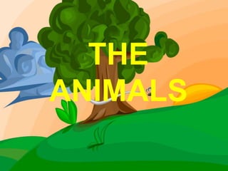 THE
ANIMALS
 