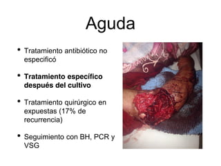 Aguda
• Tratamiento antibiótico no
especificó
• Tratamiento específico
después del cultivo
• Tratamiento quirúrgico en
expuestas (17% de
recurrencia)
• Seguimiento con BH, PCR y
VSG
 