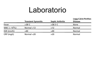 Laboratorio
 