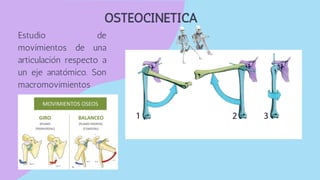 OSTEOCINETICA
Estudio de
movimientos de una
articulación respecto a
un eje anatómico. Son
macromovimientos
 