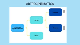 ARTROCINEMATICA
 