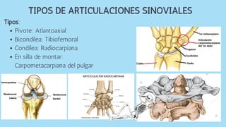 Pivote: Atlantoaxial
Bicondílea: Tibiofemoral
Condílea: Radiocarpiana
En silla de montar:
Carpometacarpiana del pulgar
Tipos:
TIPOS DE ARTICULACIONES SINOVIALES
 