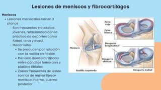 Lesiones de meniscos y fibrocartílagos
Lesiones meniscales tienen 3
planos
Son frecuentes en adultos
jóvenes, relacionada con la
práctica de deportes como
fútbol, tenis y esquí.
Mecanismo:
Se producen por rotación
con la rodilla en flexión
Menisco queda atrapado
entre cóndilos femorales y
platillos tibiales
Zonas frecuentes de lesión
son las de mayor fijeza=
menisco interno, cuerno
posterior
Meniscos
 