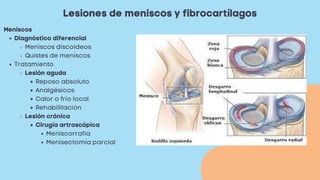 Lesiones de meniscos y fibrocartílagos
Diagnóstico diferencial
Meniscos discoideos
Quistes de meniscos
Tratamiento
Lesión aguda
Reposo absoluto
Analgésicos
Calor o frío local
Rehabilitación
Lesión crónica
Cirugía artroscópica
Meniscorrafia
Menisectomía parcial
Meniscos
 