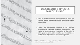 SARCOPLASMA Y RETÍCULO
SARCOPLÁSMICO
• Entre las miofibrillas existe el sarcoplasma, un fluido que
contiene potasio, magnesio y fosfatos. Además de muchas
mitocondrias.
• Dentro del sarcoplasma, tenemos a los retículos
sarcoplásmicos. Extensos retículos especializados que
regulan el almacenamiento, recaptación y liberación de
calcio para la contracción muscular. Los músculos de
contracción rápida tienen retículos más grandes.
Hall JE. Guyton & Hall. Tratado de fisiología médica. Capitulo 6 P. 79 (Edición
14th). [Reino Unido]: Elsevier Limited (UK); 2021.
 