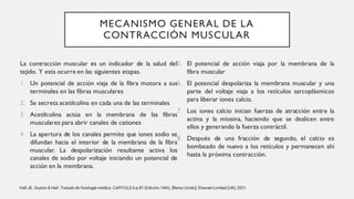 MECANISMO GENERAL DE LA
CONTRACCIÓN MUSCULAR
La contracción muscular es un indicador de la salud del
tejido. Y esta ocurre en las siguientes etapas.
1. Un potencial de acción viaja de la fibra motora a sus
terminales en las fibras musculares
2. Se secreta acetilcolina en cada una de las terminales
3. Acetilcolina actúa en la membrana de las fibras
musculares para abrir canales de cationes
4. La apertura de los canales permite que iones sodio se
difundan hacia el interior de la membrana de la fibra
muscular. La despolarización resultante activa los
canales de sodio por voltaje iniciando un potencial de
acción en la membrana.
5. El potencial de acción viaja por la membrana de la
fibra muscular
6. El potencial despolariza la membrana muscular y una
parte del voltaje viaja a los retículos sarcoplásmicos
para liberar iones calcio.
7. Los iones calcio inician fuerzas de atracción entre la
actina y la miosina, haciendo que se deslicen entre
ellos y generando la fuerza contráctil.
8. Después de una fracción de segundo, el calcio es
bombeado de nuevo a los retículos y permanecen ahí
hasta la próxima contracción.
Hall JE. Guyton & Hall. Tratado de fisiología médica. CAPITULO 6 p.81 (Edición 14th). [Reino Unido]: ElsevierLimited (UK); 2021.
 