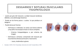 DESGARROS Y ROTURAS MUSCULARES
FISIOPATOLOGÍA
• Lesión por giro del músculo o unidad músculo tendinosa
debido a una sobrecarga mecánica
• Puede ser de forma pasiva o activa lo que produce un
desgarro
• Puede darse por fuerzas:
• Intrínsecas o indirectas: no actúa una fuerza externa
y hay daño microscópico hasta la rotura completa.
• Criterios histopatológicos o por criterios de
imagen
• Extrínsecas o directas: compresión del músculo por
traumatismo directo (contusión o laceración)
• Leves, moderadas o graves
1. Grossman, S. (2014). Porth. Fisiopatología: alteraciones de la salud:Conceptos Básicos. LWW.
 