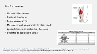 • Más frecuentes en:
• Músculos biarticulares
• Unión miotendinosa
• De acción excéntrica
• Músculos con alta proporción de fibras tipo II
• Zonas de transición anatómica o funcional
• Deportes de aceleración rápida
2. Muñoz, S., Astudillo, C., Miranda, E., Albarracin, F. (2018). Vol. 24, pág 22-33. Lesiones musculares deportivas: correlación entre anatomía y estudio
porimágenes Recuperado 27 de agoso de https://scielo.conicyt.cl/pdf/rchradiol/v24n1/0717-9308-rchradiol-24-01-00022.pdf
 