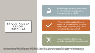 ETIQUETA DE LA
LESIÓN
MUSCULAR
•Nombre:tipo de lesión de acuerdo a
los criterios anatomopatológicos
(rotura muscular grado II)
•Primer apellido:localización de la
lesión y si tiene relación o no con el
componente conectivo (de la unión
músculo tendinosa proximal)
•Segundo apellido:detalla grupo
muscular afectado (del bíceps femoral)
3.Servicios médicos del Fútbol Club Barcelona.(2009).Gñuide Práctica Clínica de lesiones musculares.Epidemiología,diagnóstico, tratamiento y
prevención.Recuperado27 de agosto de file:///Users/karenjimenez/Downloads/164711-Text%20de%20l'article-299104-1-10-20110124%20(1).pdf
 