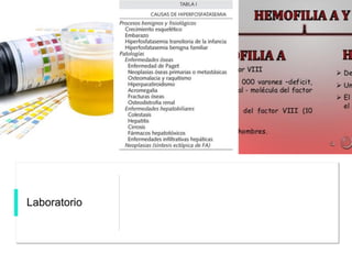 Laboratorio
 