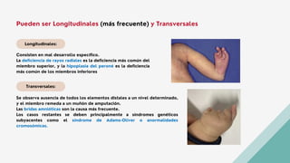 Longitudinales:
Transversales:
Pueden ser Longitudinales (más frecuente) y Transversales
Consisten en mal desarrollo específico.
La deficiencia de rayos radiales es la deficiencia más común del
miembro superior, y la hipoplasia del peroné es la deficiencia
más común de los miembros inferiores
Se observa ausencia de todos los elementos distales a un nivel determinado,
y el miembro remeda a un muñón de amputación.
Las bridas amnióticas son la causa más frecuente.
Los casos restantes se deben principalmente a síndromes genéticos
subyacentes como el síndrome de Adams-Oliver o anormalidades
cromosómicas.
 