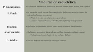 Osificación de clavícula, mandíbula, maxilar, humero, radio, cúbito, fémur y tibia.
La escapula, coxal, peroné, falanges distales de la mano y ciertos huesos del
cráneo (osificación prematura).
Mitad de la vida prenatal: cráneo y vertebras
Antes de nacer: calcáneo, cuboides, fémur (distal), tibia (proximal)
Epífisis de extremidades, carpo, tarso. Niñas -> centros de osificación
Osificación secundaria de vertebras, costillas, clavícula, escápula y coxal.
2nda y 3era década: fusión de las epífisis y diáfisis.
Suturas de base del cráneo se empiezan a cerrar
Maduración esquelética
P. Embrionario:
P. Fetal:
Infancia:
Adolescencia:
E. Adulta:
 