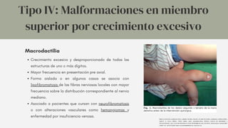 Tipo IV: Malformaciones en miembro
superior por crecimiento excesivo
Macrodactilia
Crecimiento excesivo y desproporcionado de todas las
estructuras de uno o más dígitos.
Mayor frecuencia en presentación pre axial.
Forma aislada o en algunos casos se asocia con
lipofibromatosis de las fibras nerviosas locales con mayor
frecuencia sobre la distribución correspondiente al nervio
mediano.
Asociado a pacientes que cursan con neurofibromatosis
o con alteraciones vasculares como hemangiomas y
enfermedad por insuficiencia venosa.
BERNAL GONZÁLEZ, MARIO DE JESÚS, CABRERA VILTRES, NELSON, ÁLVAREZ PLACERES, LEOPOLDO, NÁPOLES PÉREZ,
MAILYN, & AYALA CHINÉA, ÁNGEL PABLO. (2017). MACRODACTILIA. REVISTA CUBANA DE ORTOPEDIA Y
TRAUMATOLOGÍA, 31(1), 76-81. RECUPERADO EN 04 DE SEPTIEMBRE DE 2023, DE HTTP://SCIELO.SLD.CU/SCIELO.PHP?
SCRIPT=SCI_ARTTEXT&PID=S0864-215X2017000100007&LNG=ES&TLNG=ES.
 