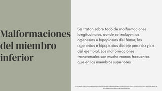 Malformaciones
del miembro
inferior
Se tratan sobre todo de malformaciones
longitudinales, donde se incluyen las
agenesias e hipoplasias del fémur, las
agenesias e hipoplasias del eje peronéo y las
del eje tibial. Las malformaciones
transversales son mucho menos frecuentes
que en los miembros superiores
UCM. (2014). TEMA 9. MALFORMACIONES CONGÉNITAS DE INTERÉS ORTOPÉDICO. UCM.ES. HTTPS://WWW.UCM.ES/DATA/CONT/DOCS/420-2014-03-20-
09%20MALFORMACIONES%20CONGENITAS.PDF
 