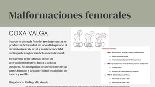 Cuando se altera la fisis del trocánter mayor se
produce la deformidad inversa al bloquearse el
crecimiento a este nivel y mantenerse el del
cartílago de conjunción de la cabeza femoral.
Incluye una gran variedad desde un
acortamiento discreto hasta la aplasia
completa. Se acompañan de alteraciones de las
partes blandas y de la movilidad/estabilidad de
cadera y rodilla.
Diagnóstico: Radiografía simple
COXA VALGA
Malformaciones femorales
UCM. (2014). TEMA 9. MALFORMACIONES CONGÉNITAS DE INTERÉS ORTOPÉDICO. UCM.ES. HTTPS://WWW.UCM.ES/DATA/CONT/DOCS/420-2014-03-20-09%20MALFORMACIONES%20CONGENITAS.PDF
 