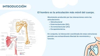 INTRODUCCIÓN
El hombro es la articulación más móvil del cuerpo.
Glenohumeral
Esternoclavicular (SC),
Acromioclavicular (AC)
Escapulotorácica.
Movimiento producido por las interacciones entre las
articulaciones:
En conjunto, la interacción coordinada de estas estructuras
permite una extraordinaria libertad de movimiento y
función.
 