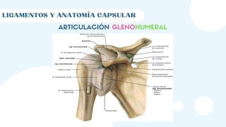 LIGAMENTOS Y ANATOMÍA CAPSULAR
ARTICULACIÓN GLENOHUMERAL
 