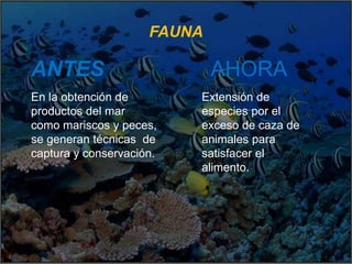 FAUNA
ANTES AHORA
En la obtención de
productos del mar
como mariscos y peces,
se generan técnicas de
captura y conservación.
Extensión de
especies por el
exceso de caza de
animales para
satisfacer el
alimento.
 
