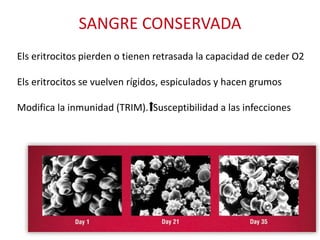 SANGRE CONSERVADA
Els eritrocitos pierden o tienen retrasada la capacidad de ceder O2
Els eritrocitos se vuelven rígidos, espiculados y hacen grumos
Modifica la inmunidad (TRIM). Susceptibilidad a las infecciones
 