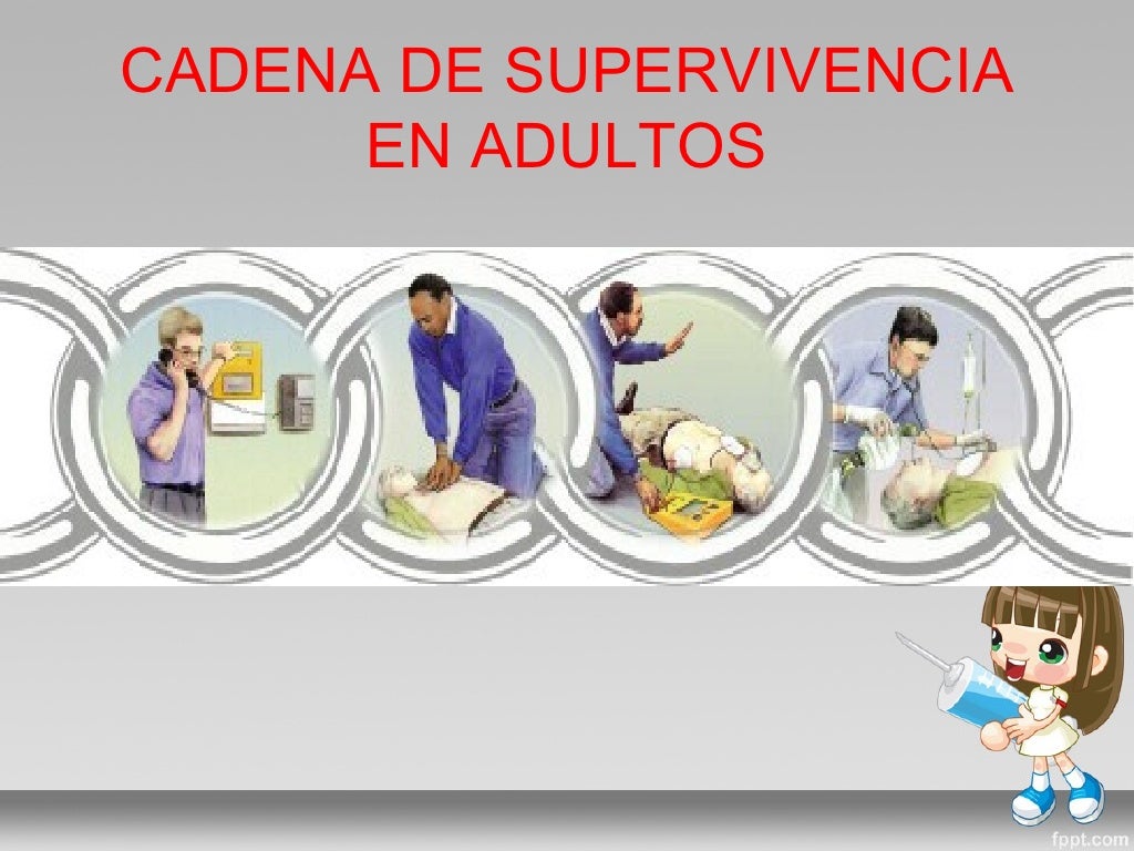 Primer respondiente