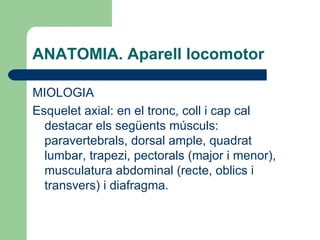ANATOMIA. Aparell locomotor MIOLOGIA Esquelet axial: en el tronc, coll i cap cal destacar els següents músculs: paravertebrals, dorsal ample, quadrat lumbar, trapezi, pectorals (major i menor), musculatura abdominal (recte, oblics i transvers) i diafragma. 