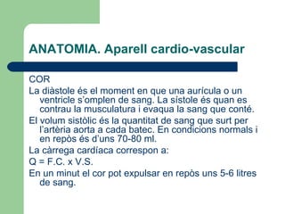 ANATOMIA. Aparell cardio-vascular COR La diàstole és el moment en que una aurícula o un ventricle s’omplen de sang. La sístole és quan es contrau la musculatura i evaqua la sang que conté.  El volum sistòlic és la quantitat de sang que surt per l’artèria aorta a cada batec. En condicions normals i en repòs és d’uns 70-80 ml.  La càrrega cardíaca correspon a: Q = F.C. x V.S. En un minut el cor pot expulsar en repòs uns 5-6 litres de sang.  